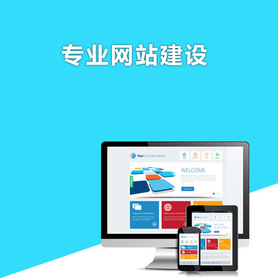 河北数字生态构建 软件开发、网站建设、优化推广与电商运营一体化发展